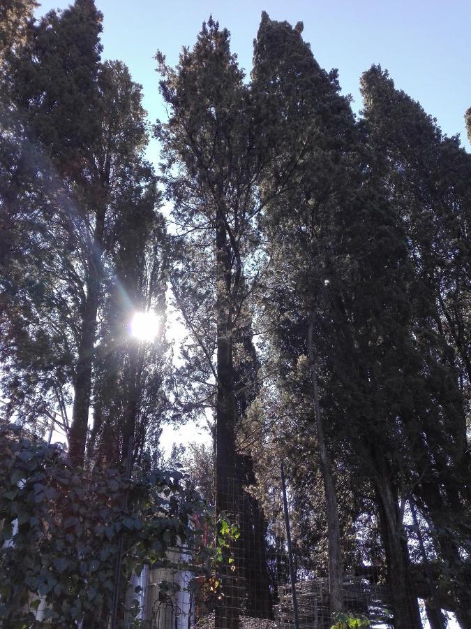 Country House Martina 카스텔누오보베라덴가 외부 사진
